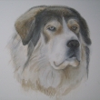 Aquarel