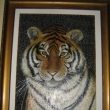 Tygr usurijsk - Akryl+olej (plastick)