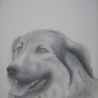 aquarel